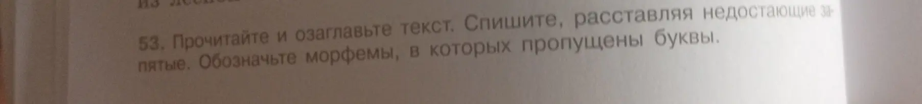 Определи, какими членами предложения являются выделенные слова в тексте о корнях дерева и составь простой план текста, используя вопросительные предложения