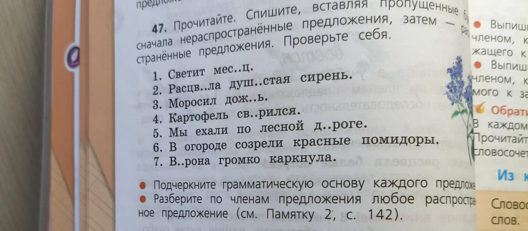 Помоги вставить пропущенные буквы в словах и подчеркнуть грамматическую основу каждого предложения в упражнении.