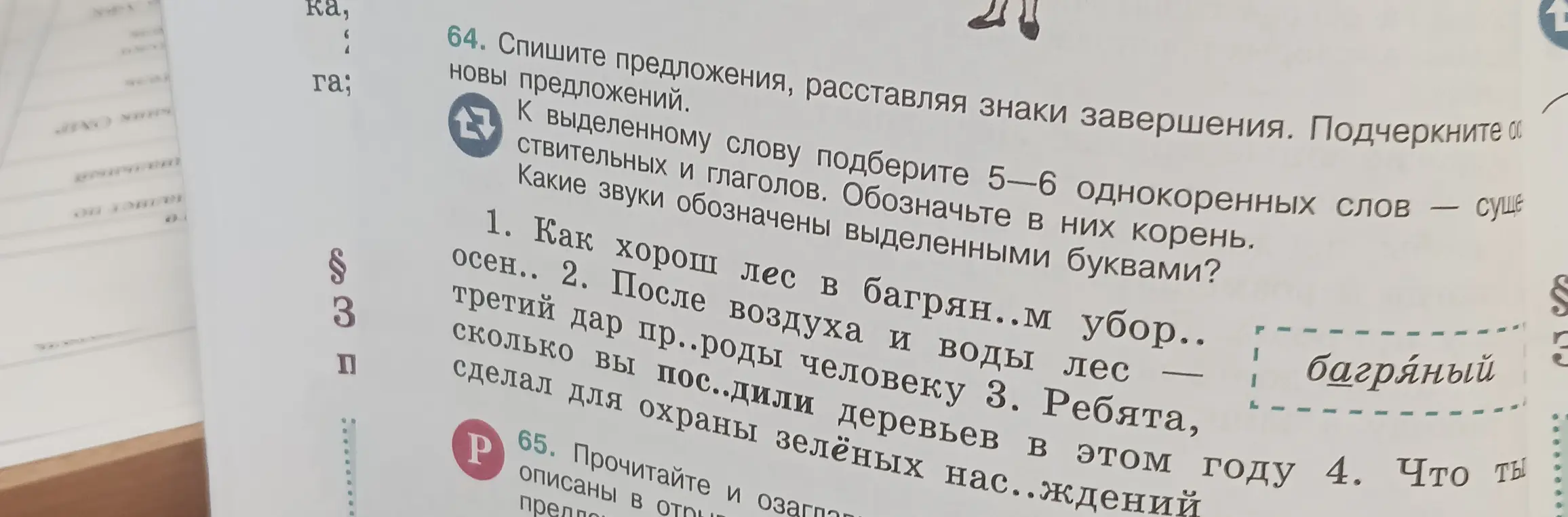 Помоги с упражнением: спиши предложения, расставляя знаки завершения. Подчеркни одушевленные слова. К выделенному слову подбери 5-6 однокоренных слов — существительных и глаголов. Обозначь в них корень. Какие звуки обозначены выделенными буквами в первом предложении?