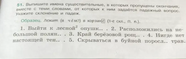 Выпиши имена существительные, в которых пропущены окончания, вместе с теми словами, от которых к ним задаётся падежный вопрос. Укажи склонение и падеж для слова 'опушк'