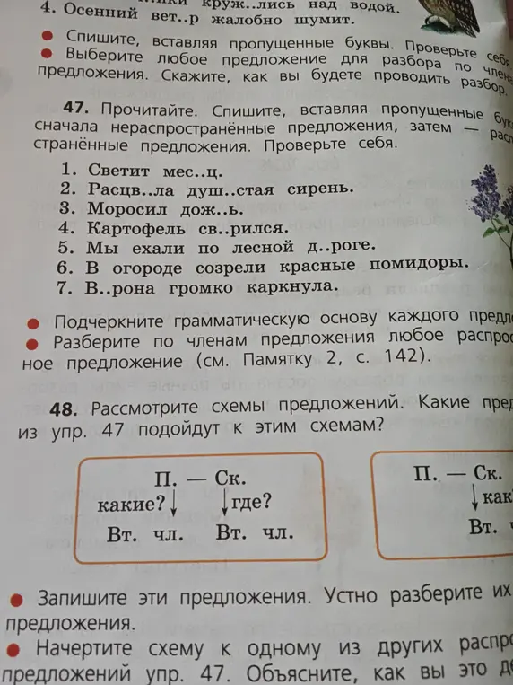 В упражнении 47 вставь пропущенные буквы и разбери по членам предложения любое распространённое предложение
