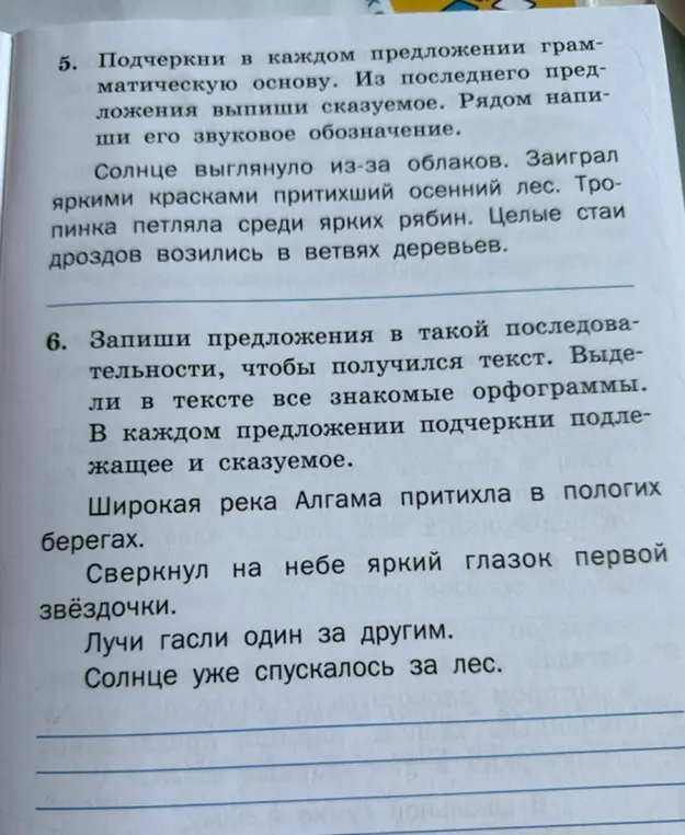 Выполни, пожалуйста, 5 и 6 задания. В пятом задании нужно подчеркнуть в каждом предложении грамматическую основу, из последнего предложения выписать сказуемое и рядом написать его звуковое обозначение. В шестом задании нужно записать предложения в такой последовательности, чтобы получился текст, выделить в тексте все знакомые орфограммы и в каждом предложении подчеркнуть подлежащее и сказуемое.