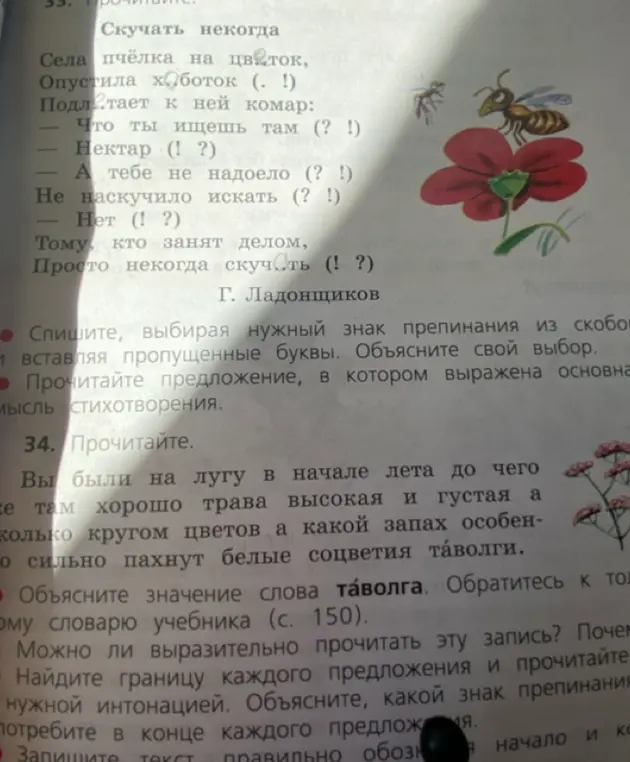 Ты просишь списать стихотворение, выбирая знаки препинания, вставляя пропущенные буквы и объясняя свой выбор, а также найти основную мысль стихотворения.