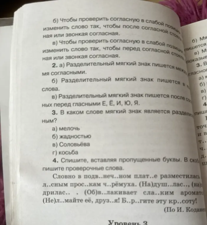 В каком слове мягкий знак является разделительным?