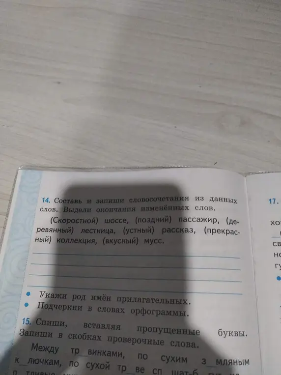 Составь и запиши словосочетания из данных слов. Выдели окончания изменённых слов