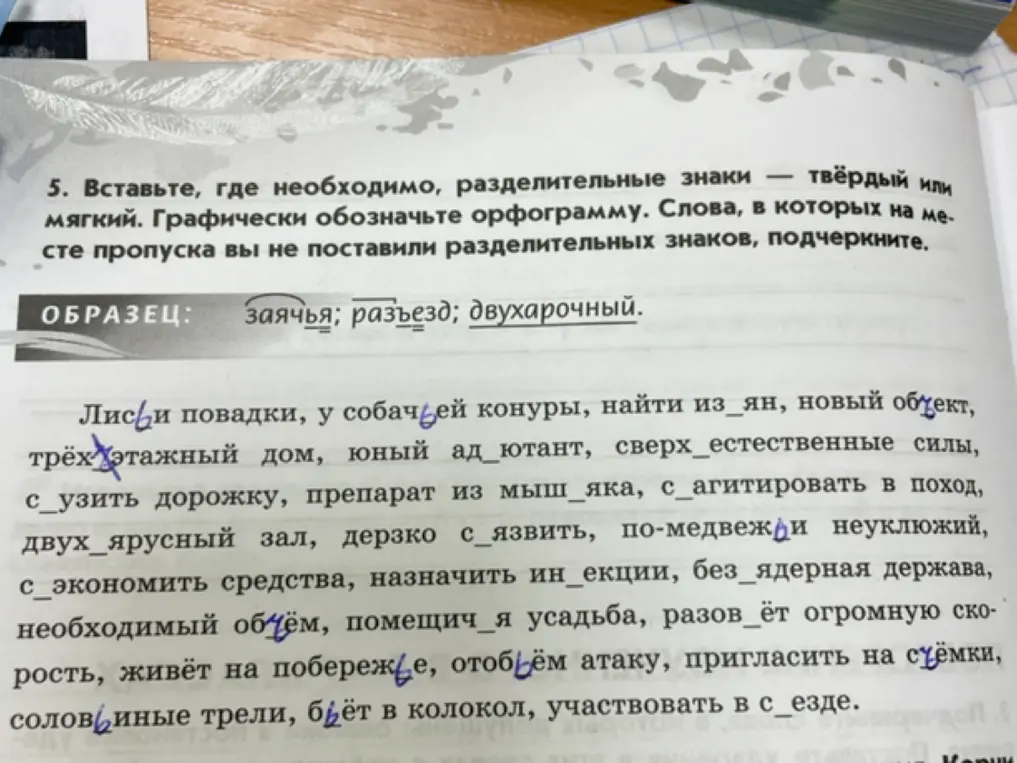 Ты просишь меня вставить, где необходимо, разделительные знаки — твёрдый или мягкий, графически обозначить орфограмму и подчеркнуть слова, в которых на месте пропуска ты не поставил разделительных знаков.