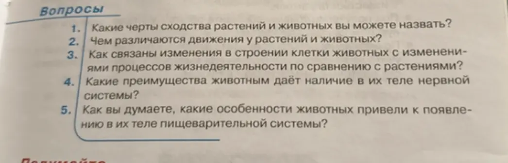 Какие черты сходства растений и животных ты можешь назвать?