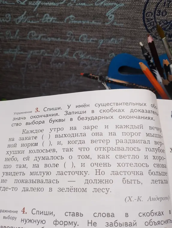 В упражнении 3 нужно списать текст и вставить пропущенные буквы в безударные окончания существительных, а также записать в скобках доказательство выбора буквы.
