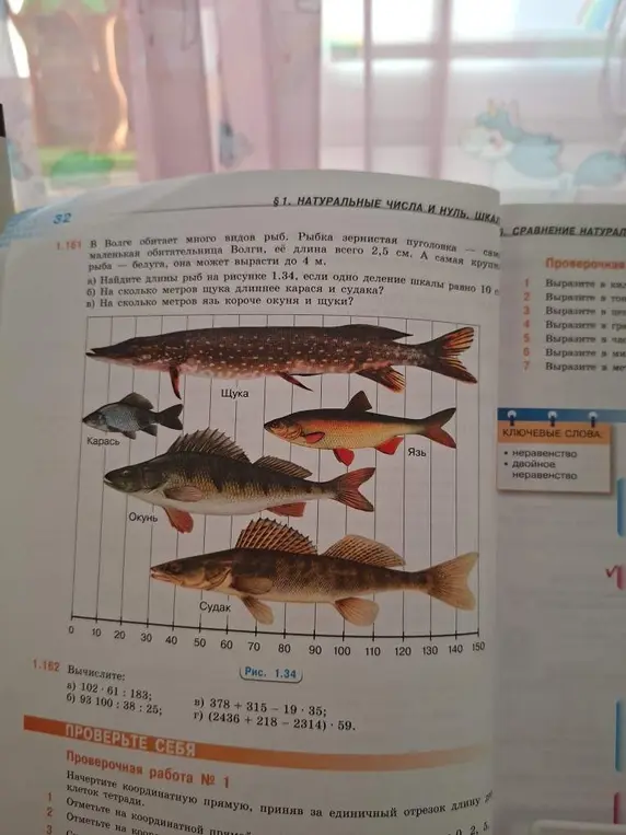Найди длины рыб на рисунке 1.34, если одно деление шкалы равно 10 см.