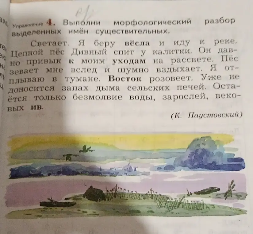 Выполни морфологический разбор выделенных имён существительных в упражнении 4.