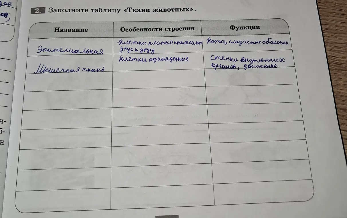Помоги мне заполнить таблицу «Ткани животных»