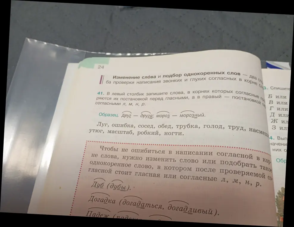 Помоги разделить слова из упражнения 41 на две группы: в первую группу запиши слова, в которых согласную в корне можно проверить, поставив после нее гласную, а во вторую - согласные л, м, н, р.