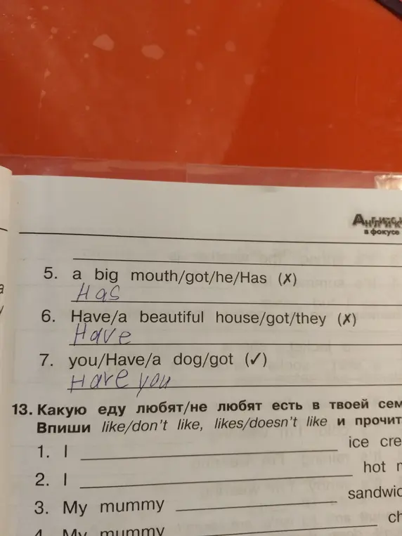 Составь предложения, используя like/don't like, likes/doesn't like