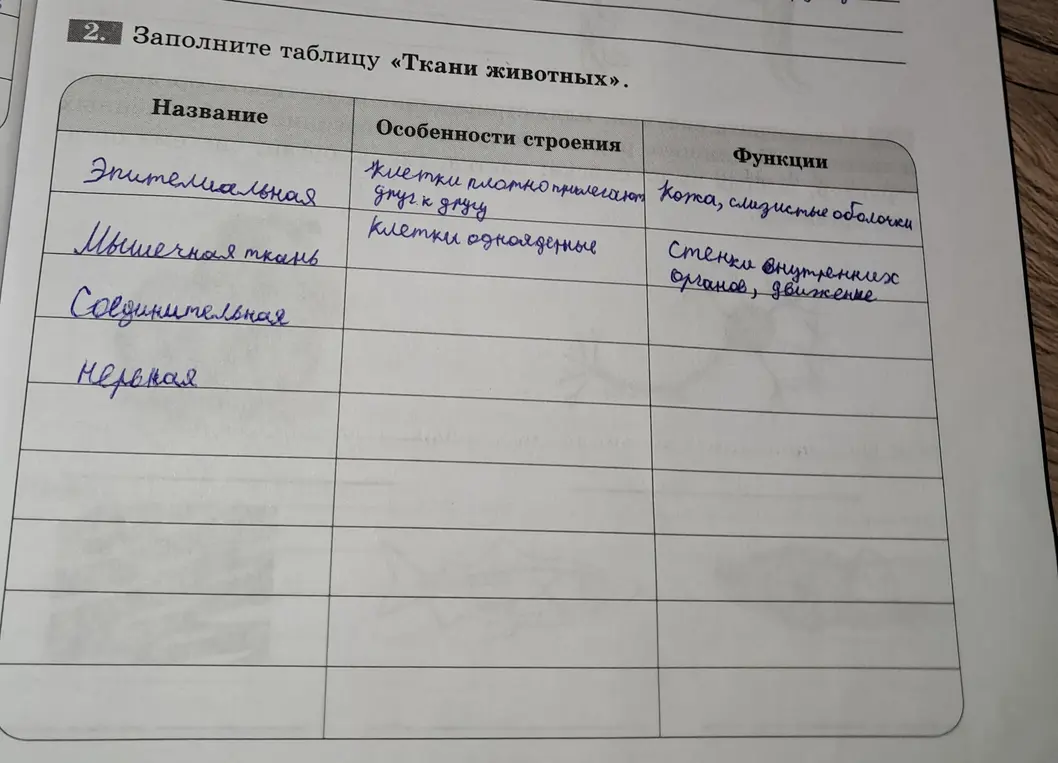 Предложи мне заполнить таблицу «Ткани животных»