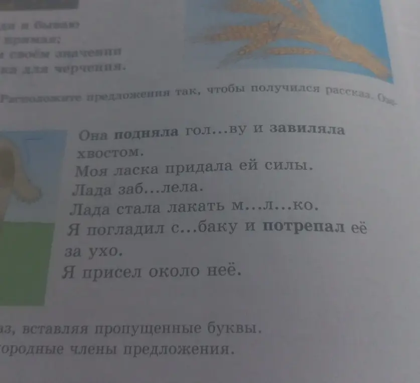Ты просишь меня вставить пропущенные буквы в словах в предложениях