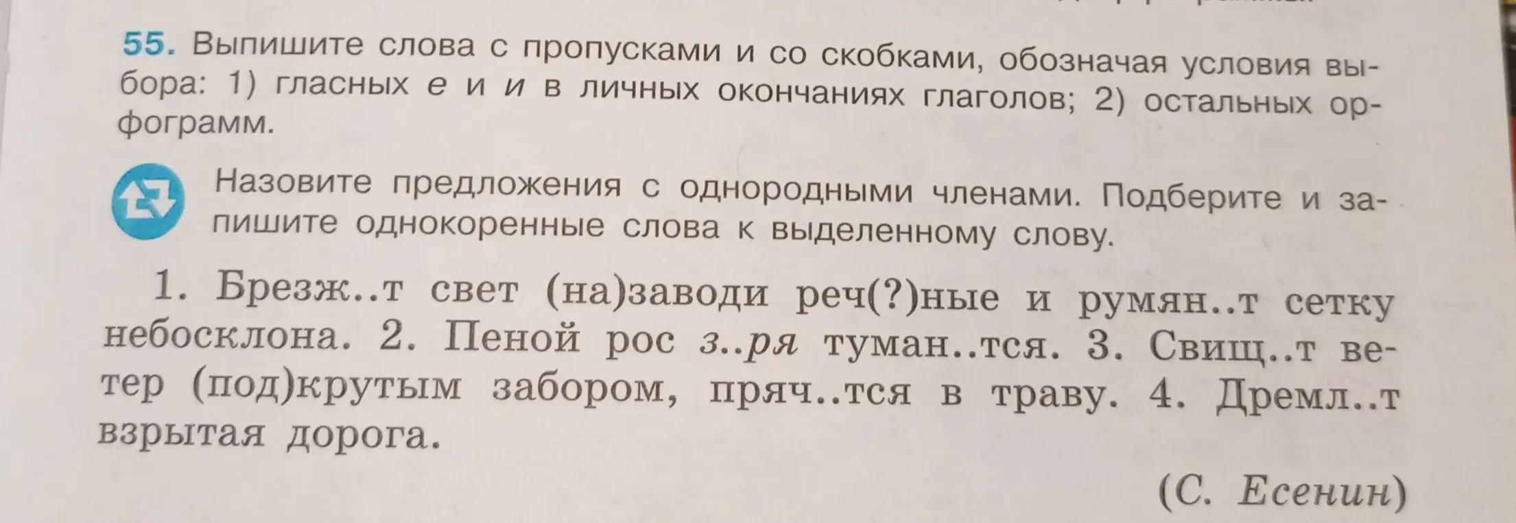 Можешь ли ты помочь мне выписать слова с пропусками и со скобками, обозначая условия выбора: 1) гласных е и и в личных окончаниях глаголов; 2) остальных орфограмм из текста?