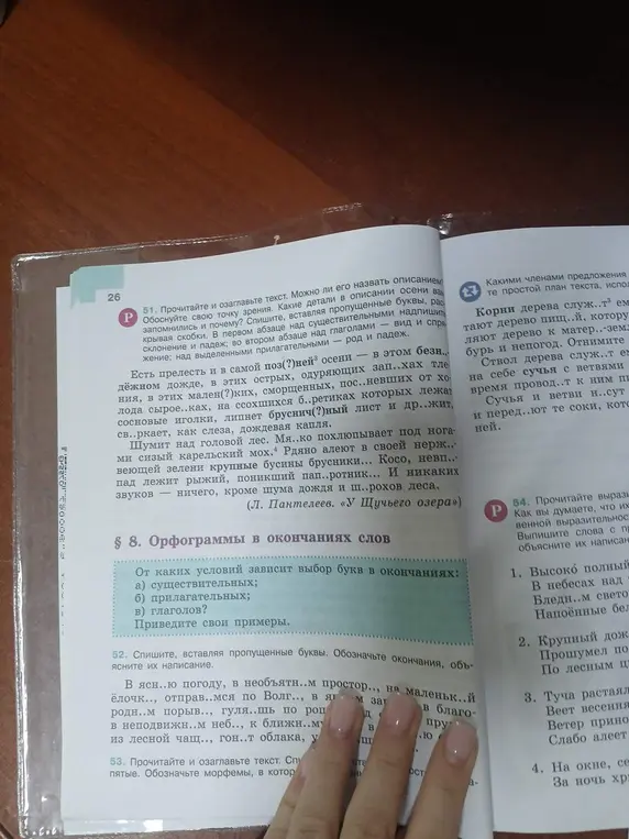 Помоги с заданием: спиши, вставляя пропущенные буквы, обозначь окончания и объясни их написание. В ясн..ю погоду, в необъятн..м простор.., на маленьк..й ёлочк..