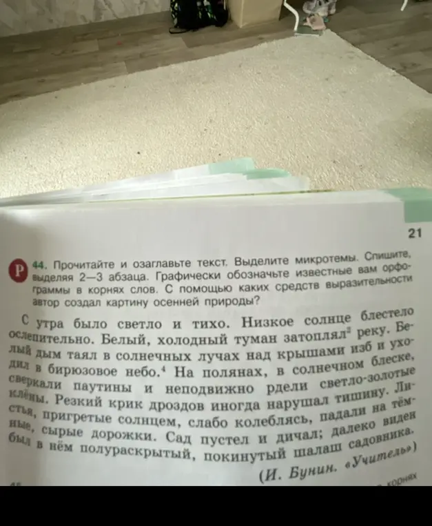 Прочитай и озаглавь текст. Выдели микротемы.