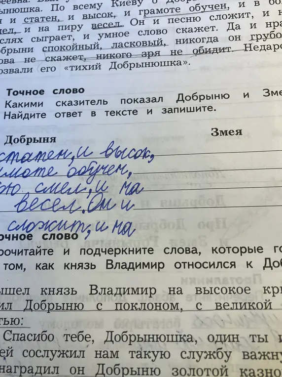 Как сказитель описал Добрыню?