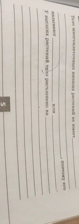 Заполни пропуски в тексте о строении растений