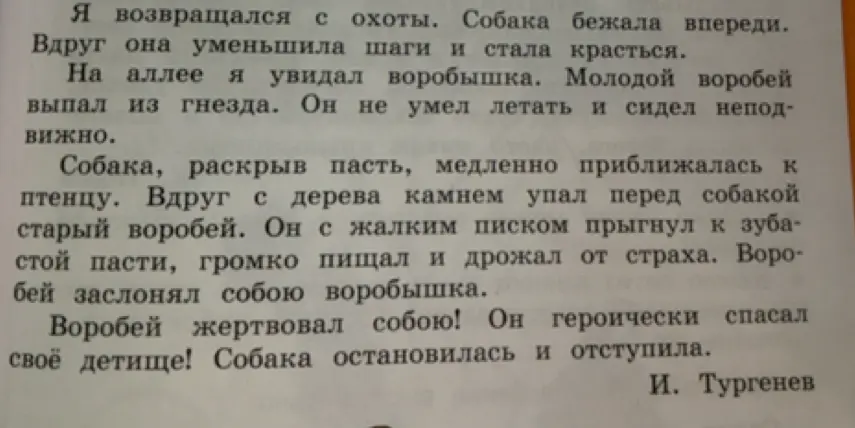 Придумай план текста по рассказу Тургенева «Воробей»