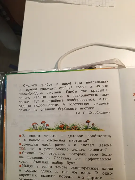 В каком тексте - деловое сообщение, а в каком - словесная картинка?