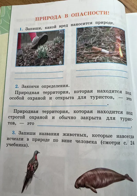 Ты просишь определить, какой вред наносится природе на картинках, закончить определения про природные территории и назвать исчезнувших животных.