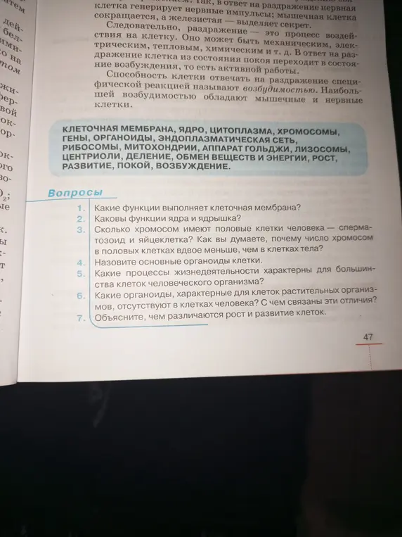 Какие функции выполняет клеточная мембрана?