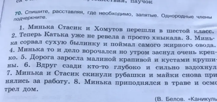 Ты просишь расставить запятые, где необходимо, в предложениях и подчеркнуть однородные члены.