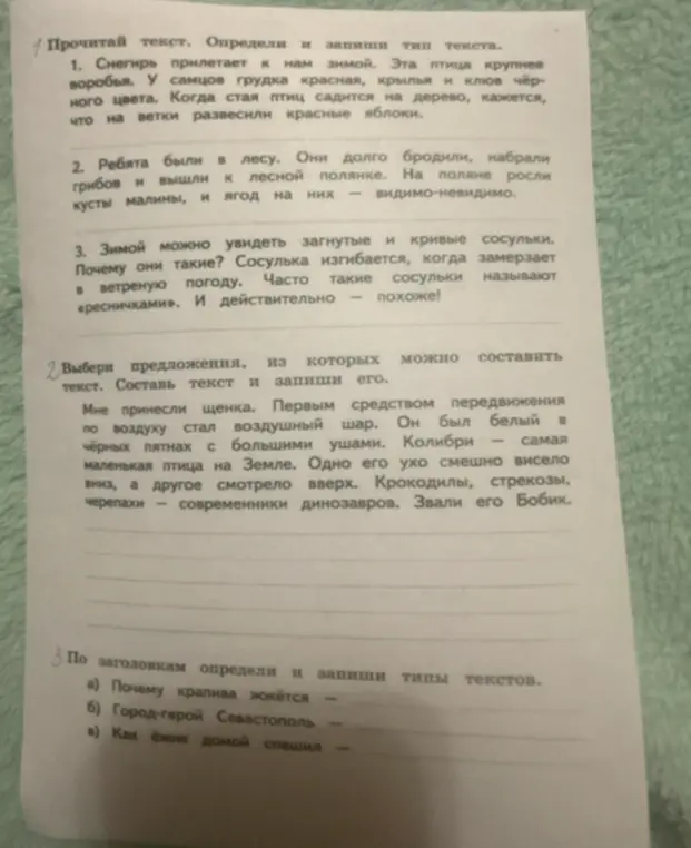 Прочитай текст и определи его тип