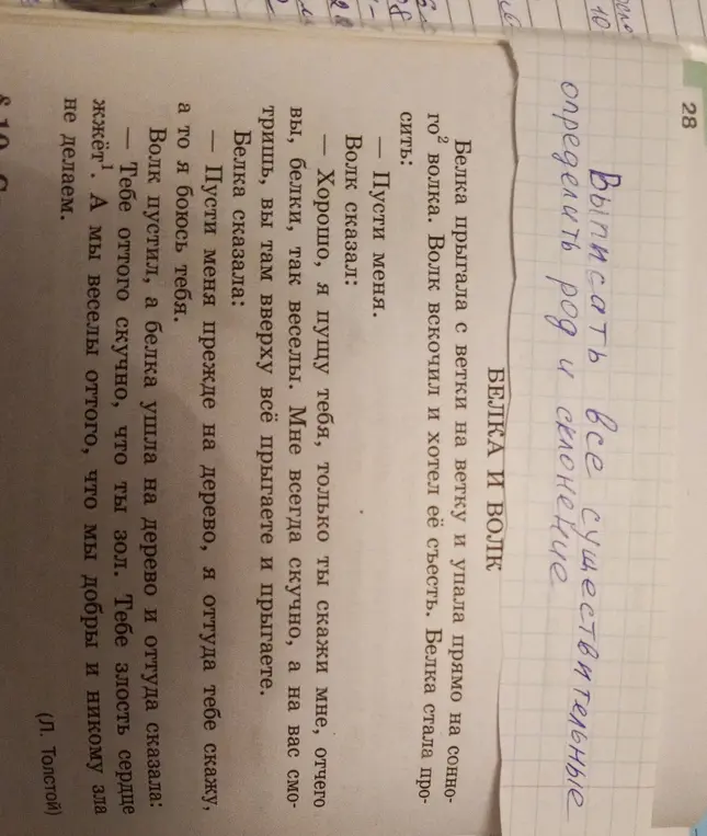 Выпиши все существительные из текста, определи их род и склонение