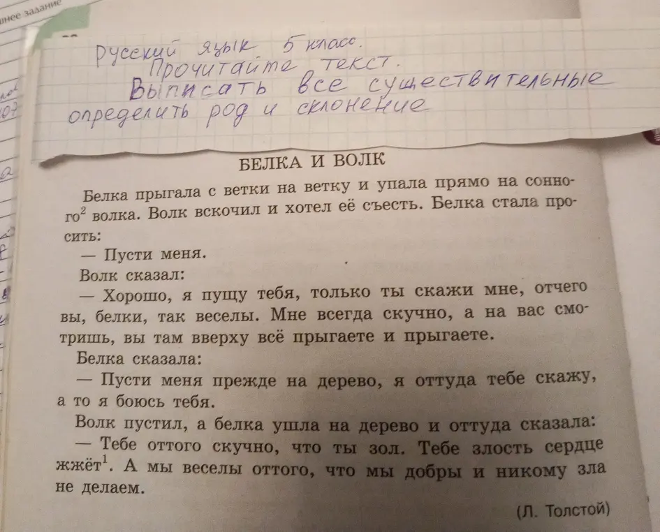Ты просишь выписать из текста "Белка и волк" все существительные, определить род и склонение.