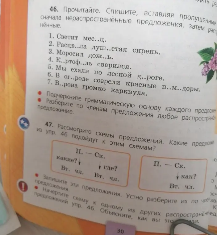 Объясни, как выполнить упражнения 46 и 47 по русскому языку