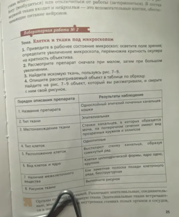 Объясни, как выполнить лабораторную работу №2 "Клетки и ткани под микроскопом"
