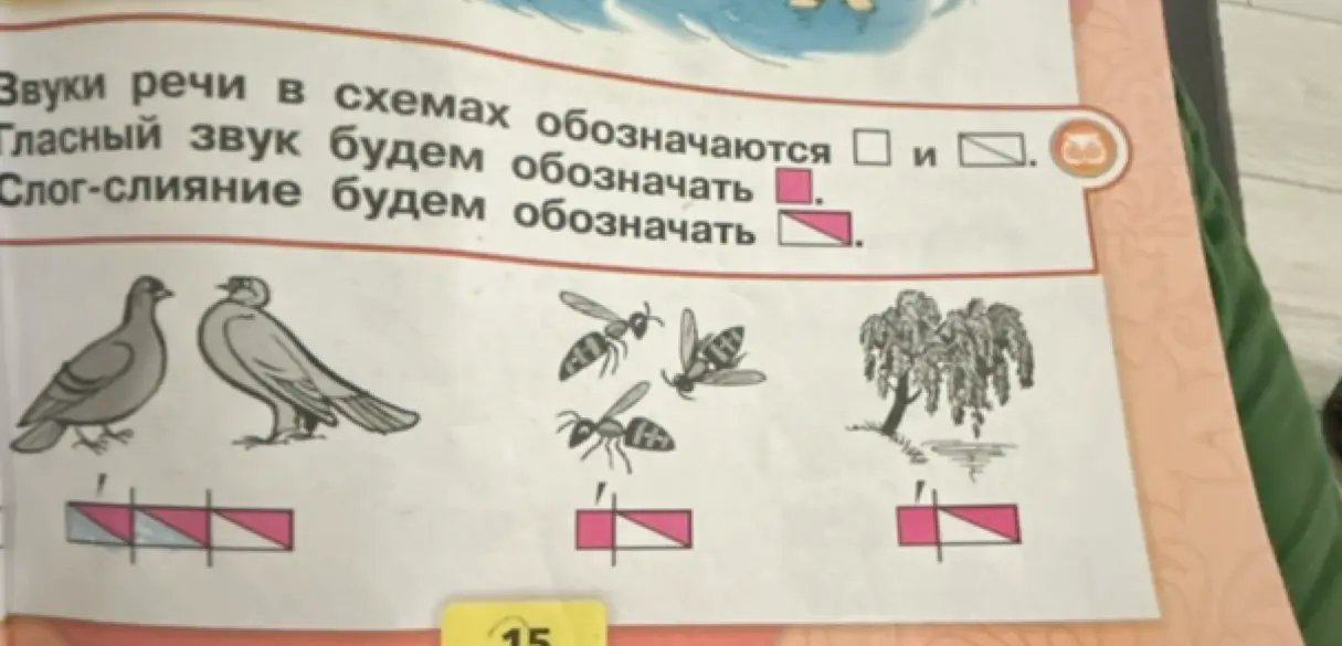 Определи звуки речи в схемах для слов: голуби, осы, ива