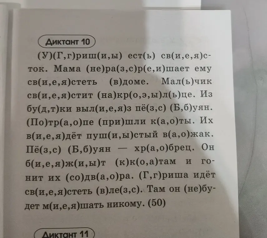 Продиктуй текст с вставленными буквами в диктанте 10
