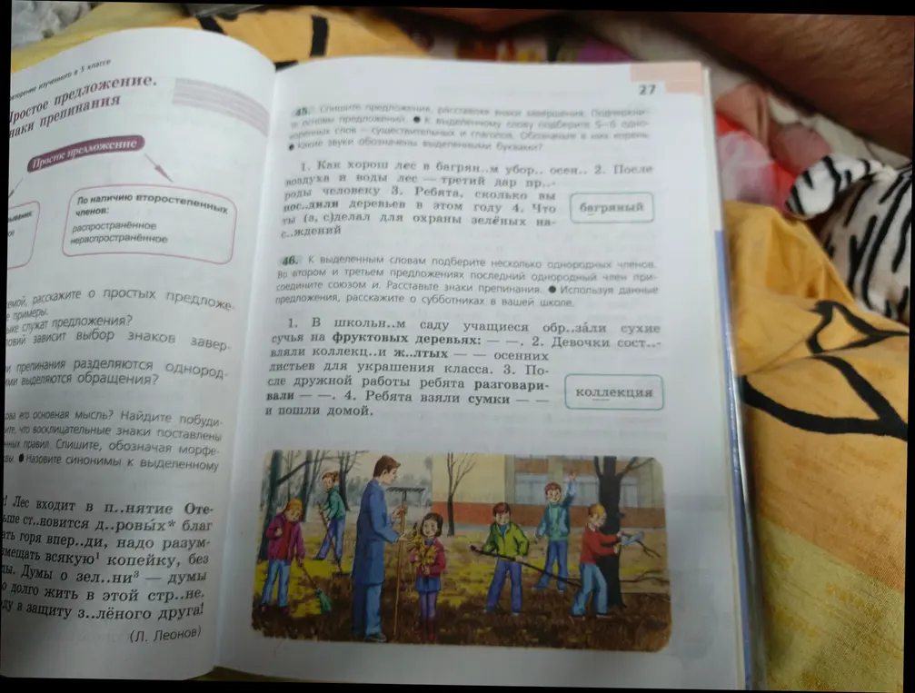Как правильно выполнить упражнения 45 и 46 на странице 27?