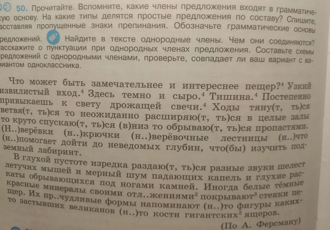 Найди в тексте однородные члены