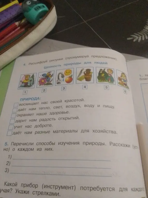 Расшифруй рисунки (пронумеруй предложения).