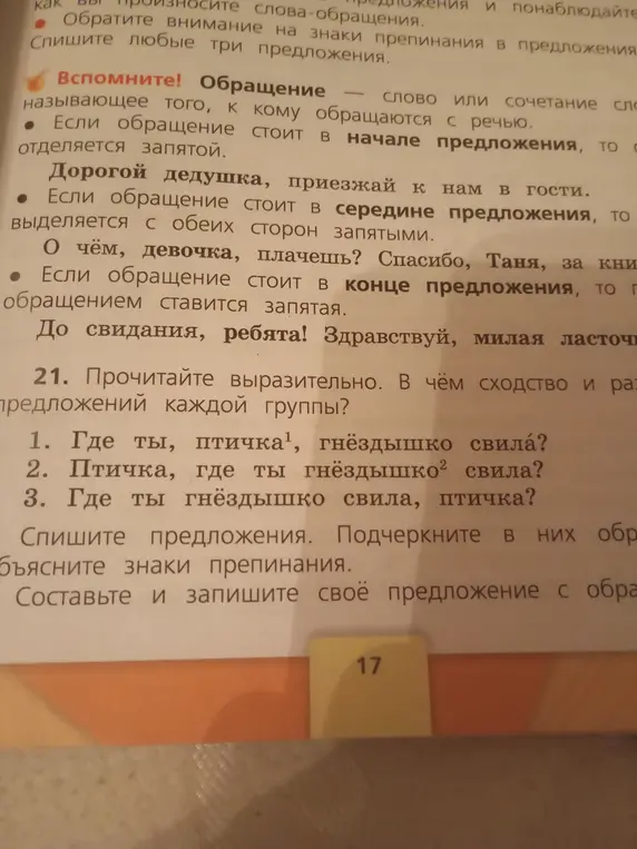 Объясни сходства и различия предложений, в которых обращение стоит в разных местах