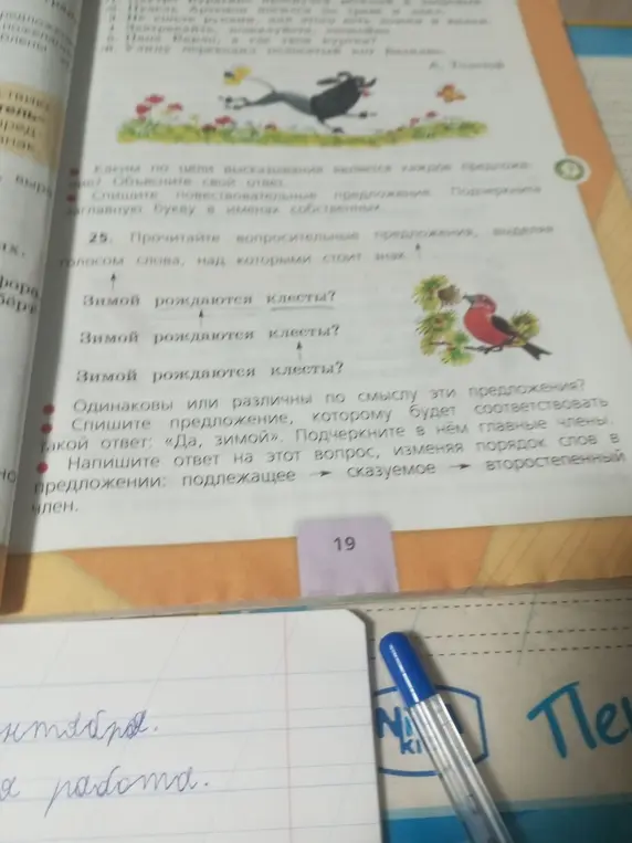 Ты можешь прочитать вопросительные предложения, выделяя голосом слова, над которыми стоит знак; сказать, одинаковы или различны по смыслу эти предложения?