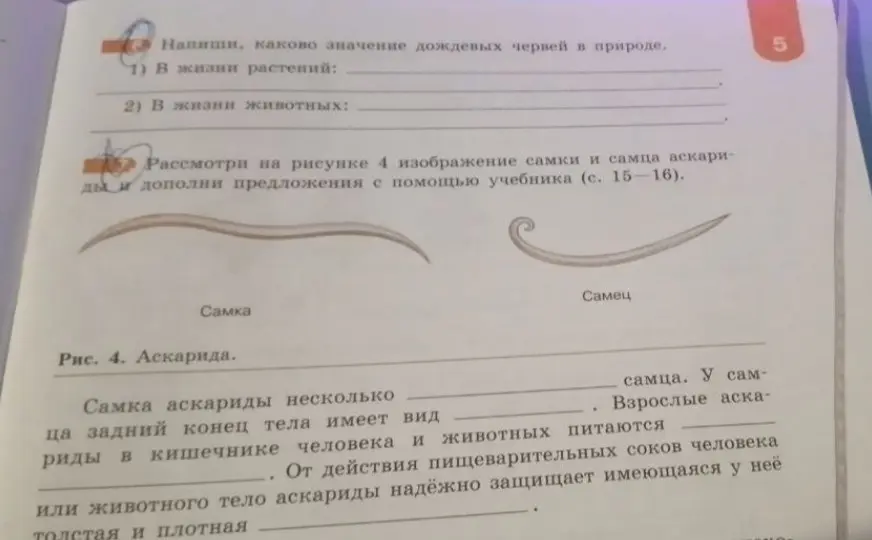 Заполни пропуски в предложениях про аскарид