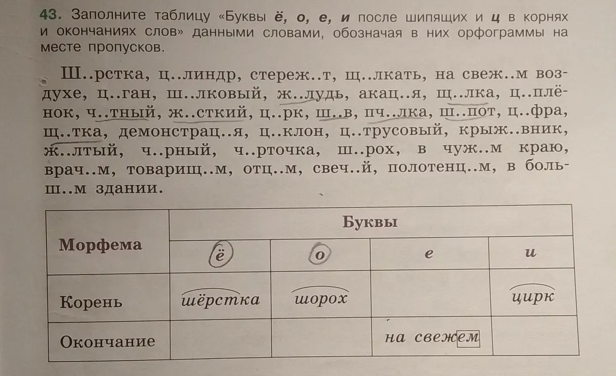 Ты просишь заполнить таблицу «Буквы ё, о, е, и после шипящих и ц в корнях и окончаниях слов» данными словами, обозначая в них орфограммы на месте пропусков.