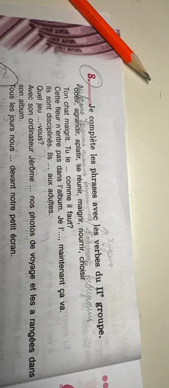 Ты просишь меня заполнить предложения глаголами из списка: obeir, agrandir, aplatir, se réunir, maigrir, nourrir, choisir.