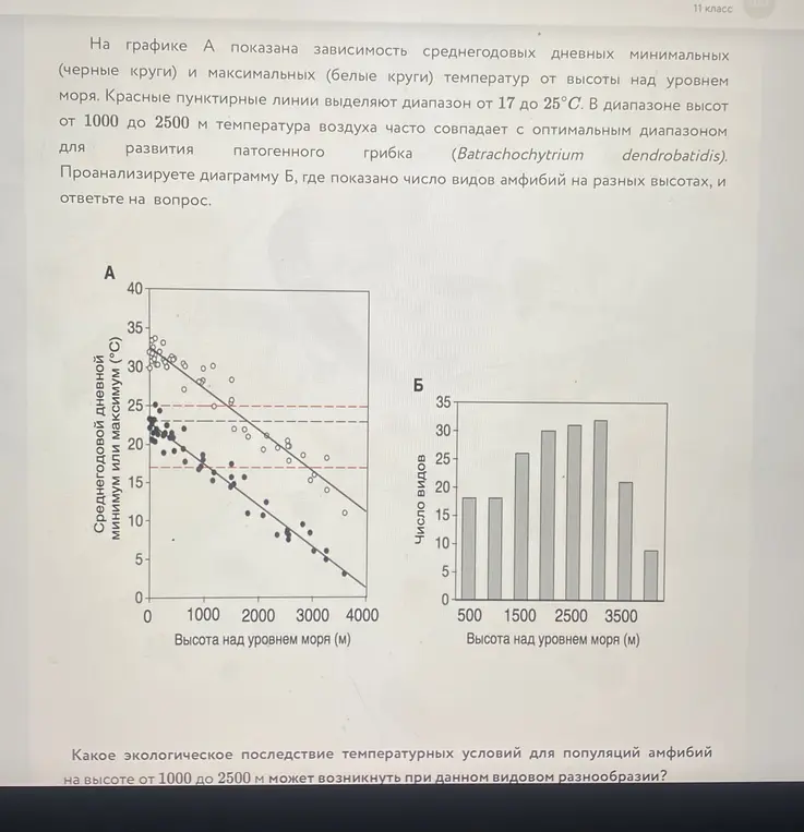 Объясни, какое экологическое последствие температурных условий для популяций амфибий на высоте от 1000 до 2500 м может возникнуть при данном видовом разнообразии