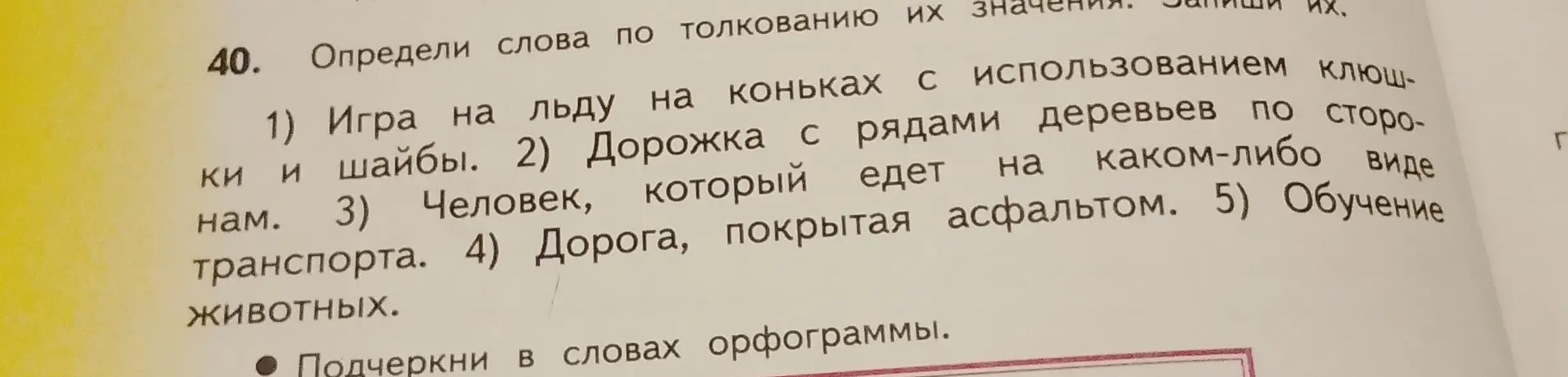 Определи слова по толкованию их значений: игра на льду на коньках с использованием клюшки и шайбы