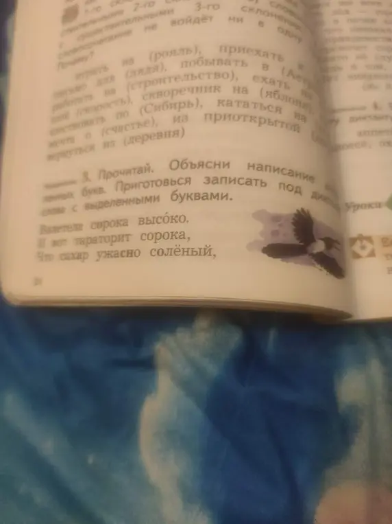 Объясни написание слов с выделенными буквами в предложении "Валетела сорока высоко".