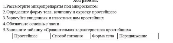 Помоги мне заполнить таблицу «Сравнительная характеристика простейших»