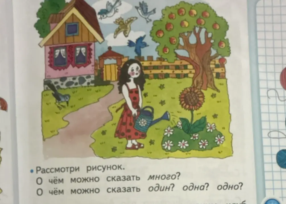 О чём можно сказать много? О чём можно сказать один? одна? одно?