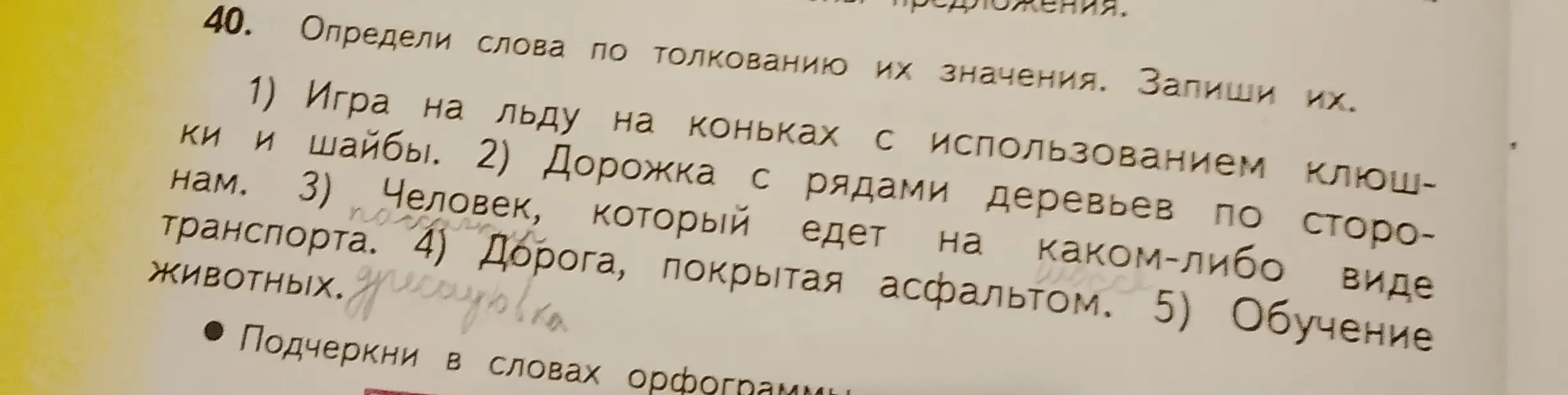Определи слова по толкованию их значения: Игра на льду на коньках с использованием клюшки и шайбы